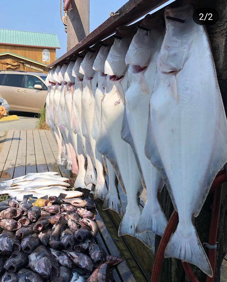 Dakota Ocean Charters