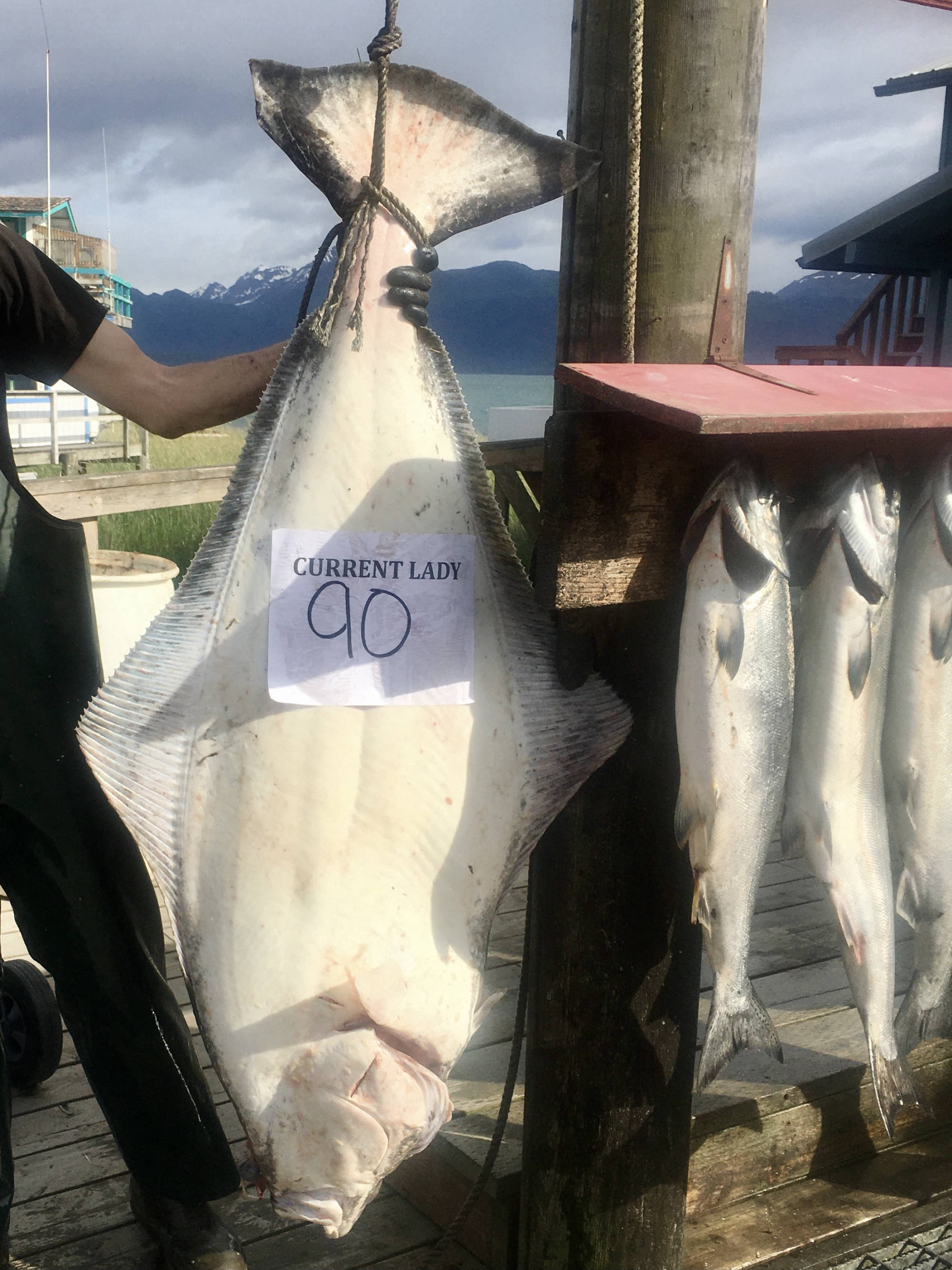 Dakota Ocean Charters