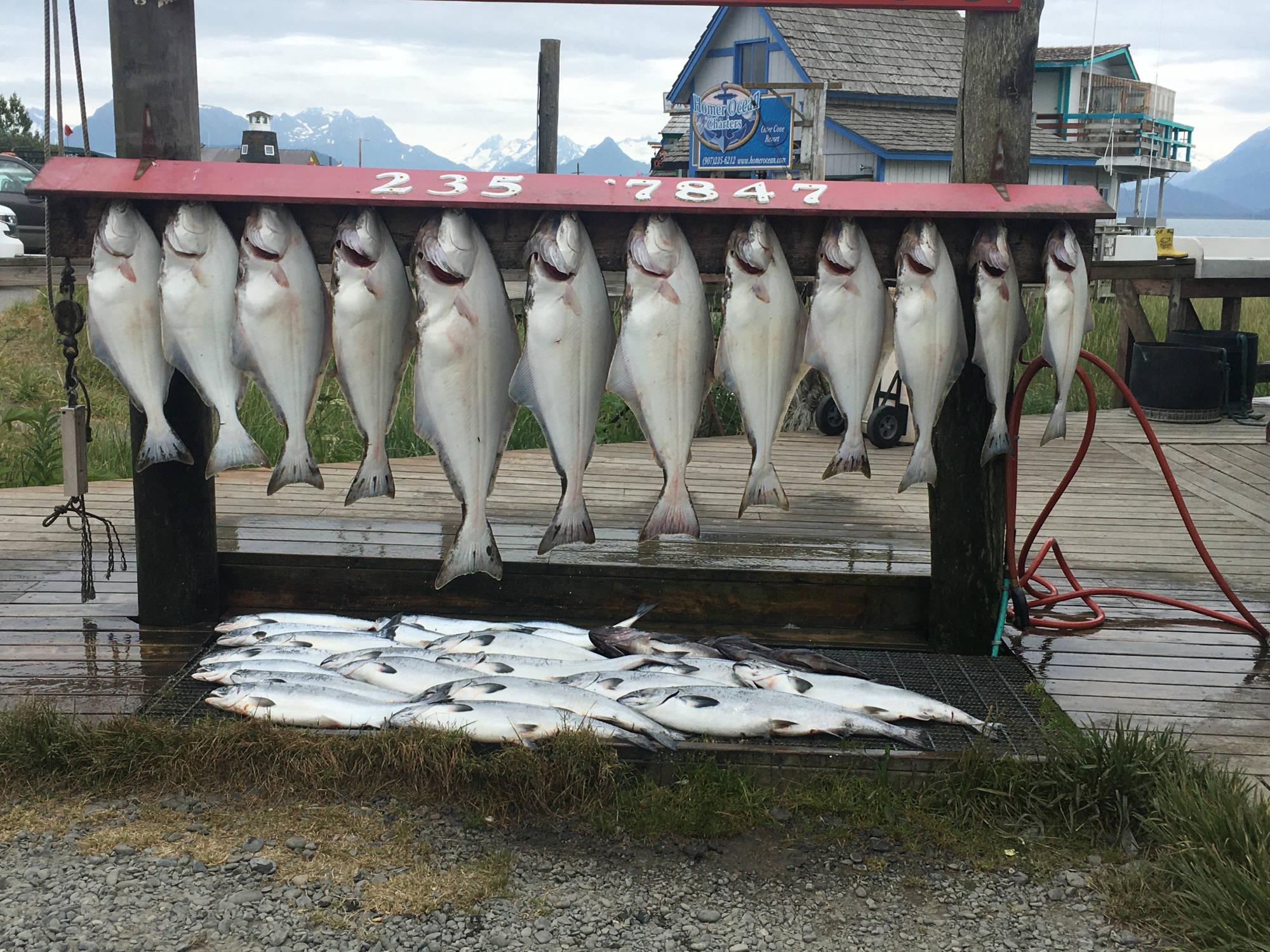 Dakota Ocean Charters