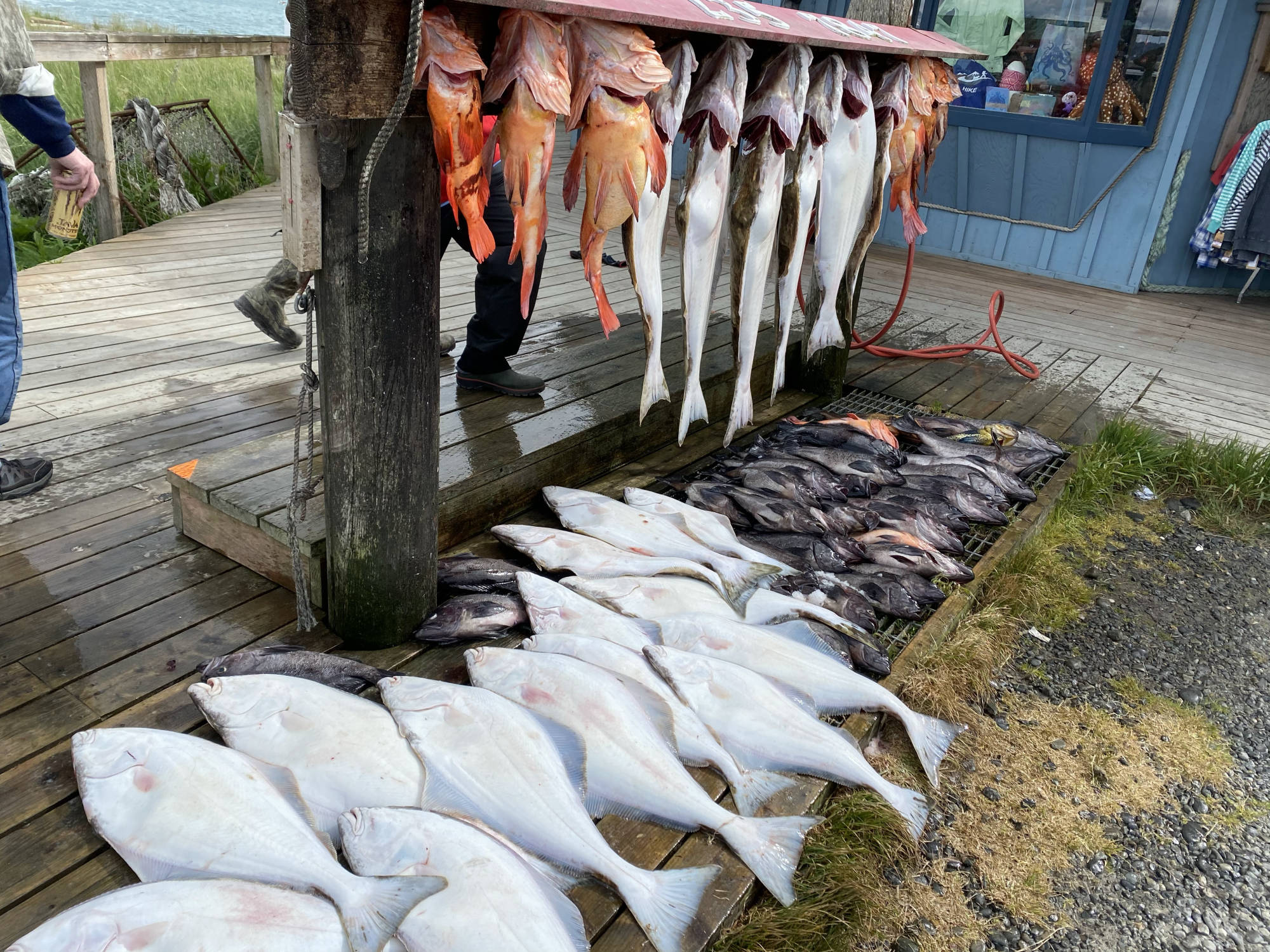 Dakota Ocean Charters