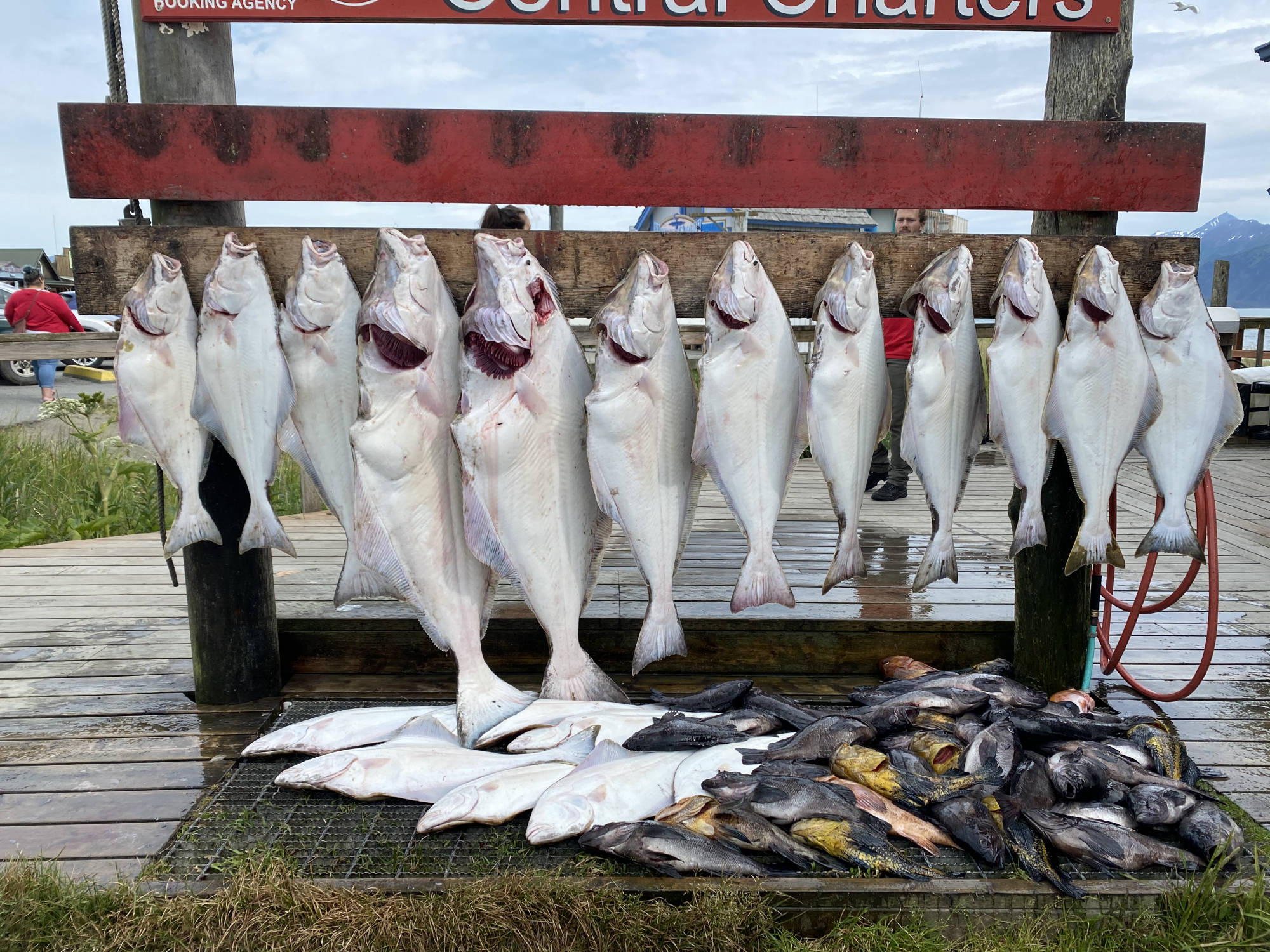 Dakota Ocean Charters