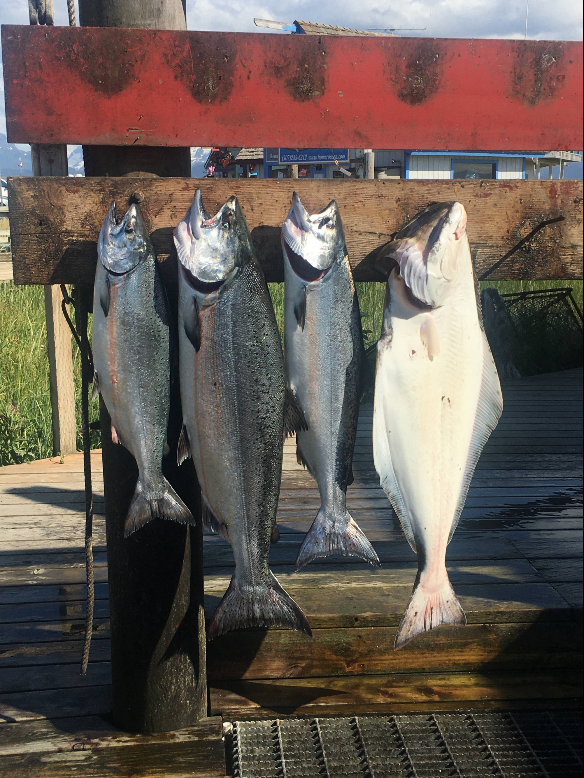 Dakota Ocean Charters