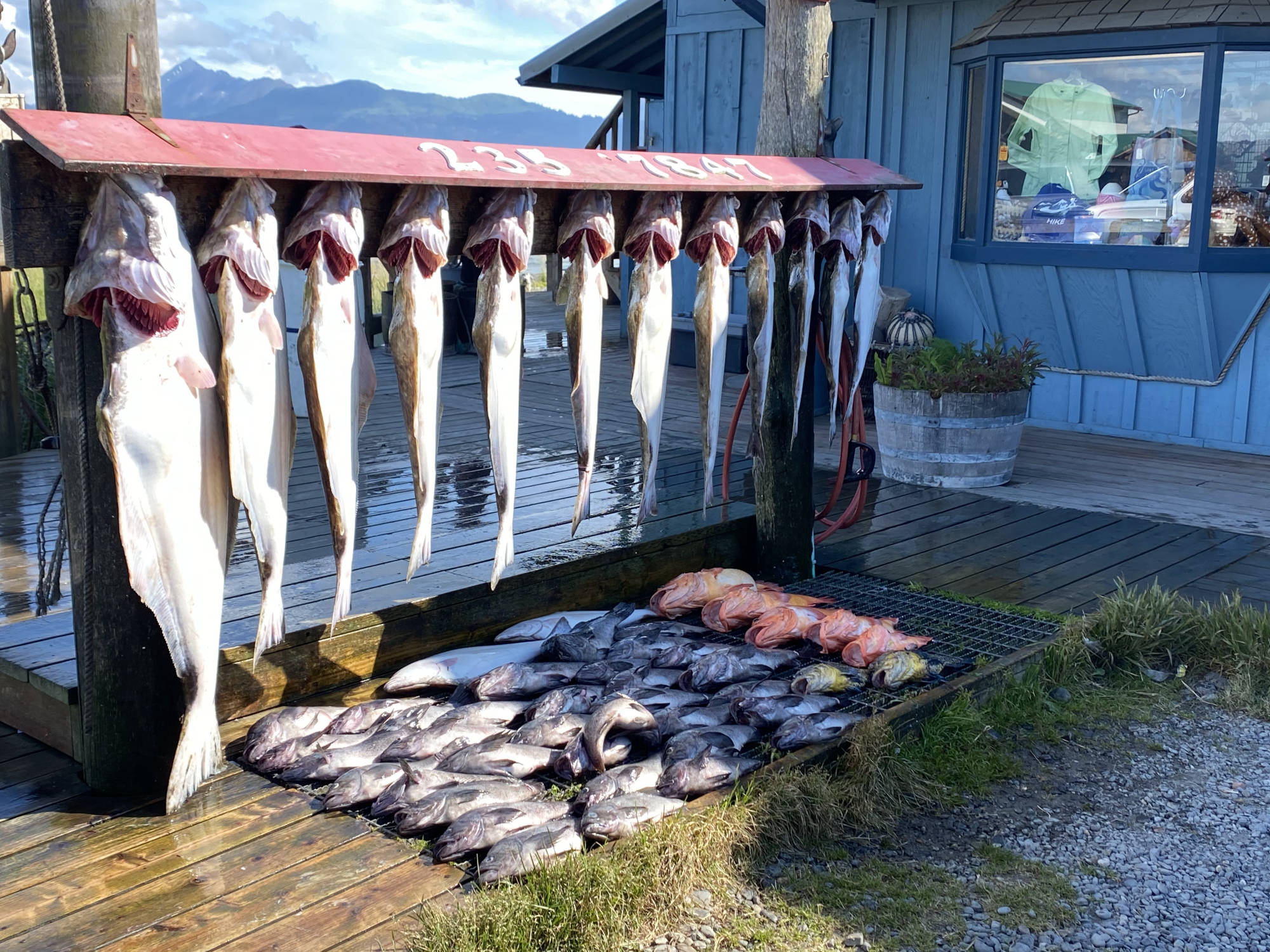 Dakota Ocean Charters