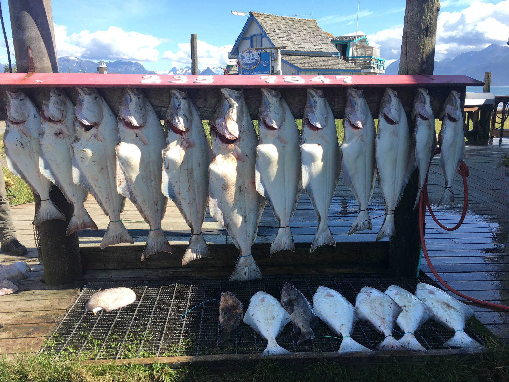 Dakota Ocean Charters