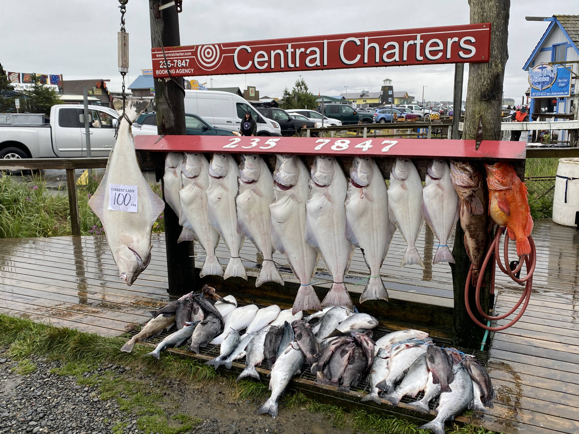 Dakota Ocean Charters