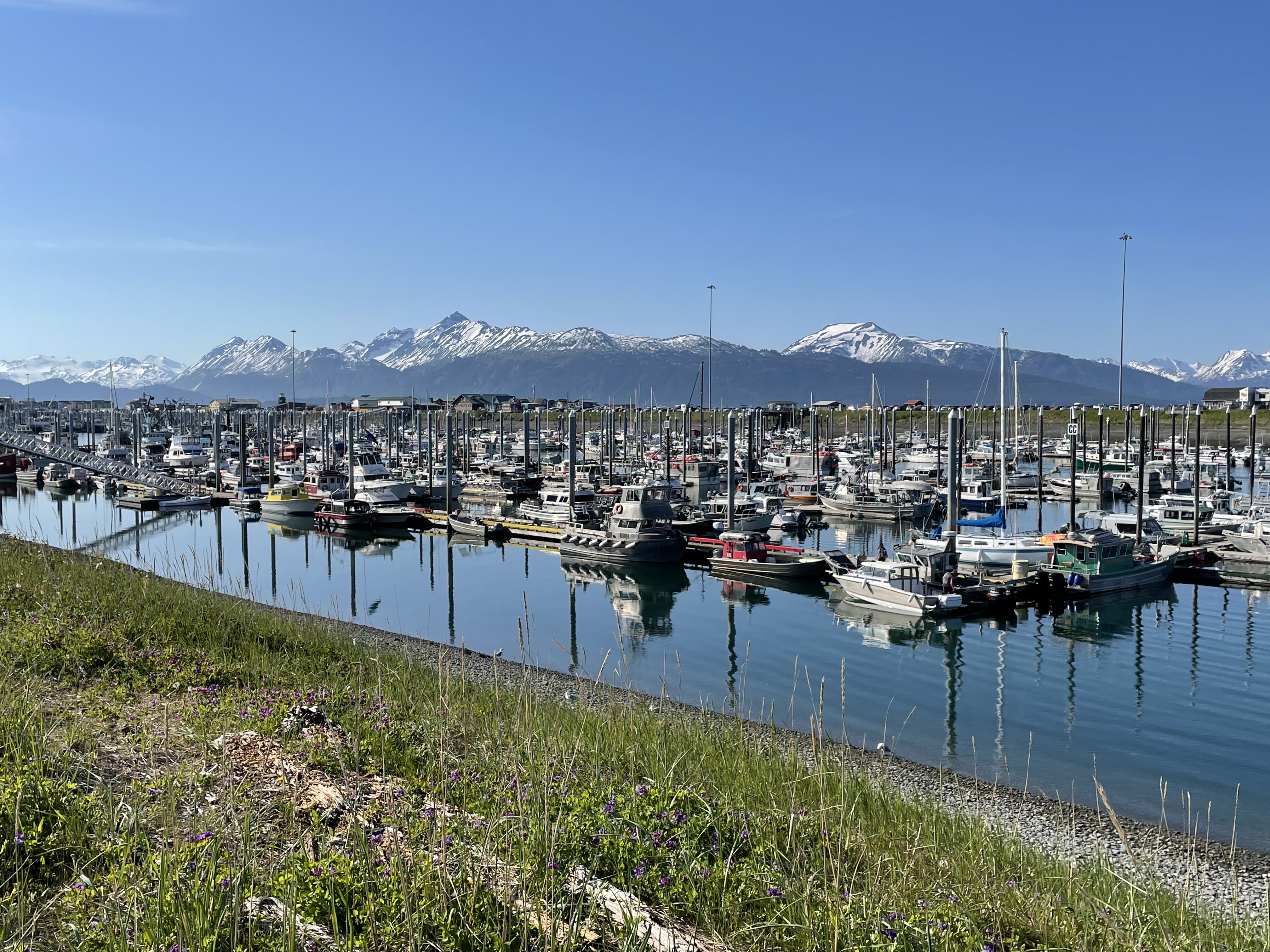 Dakota Ocean Charters