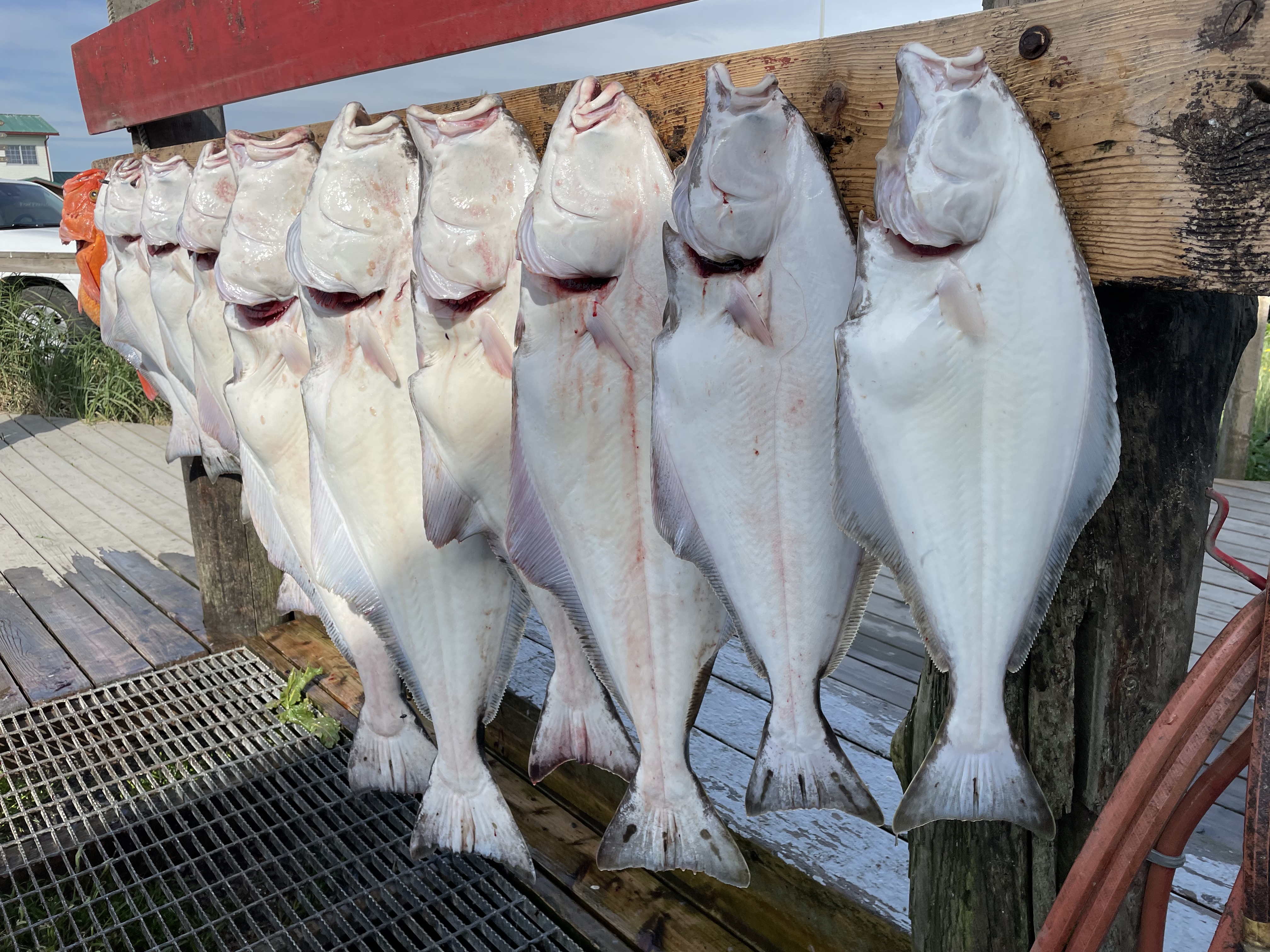 Dakota Ocean Charters