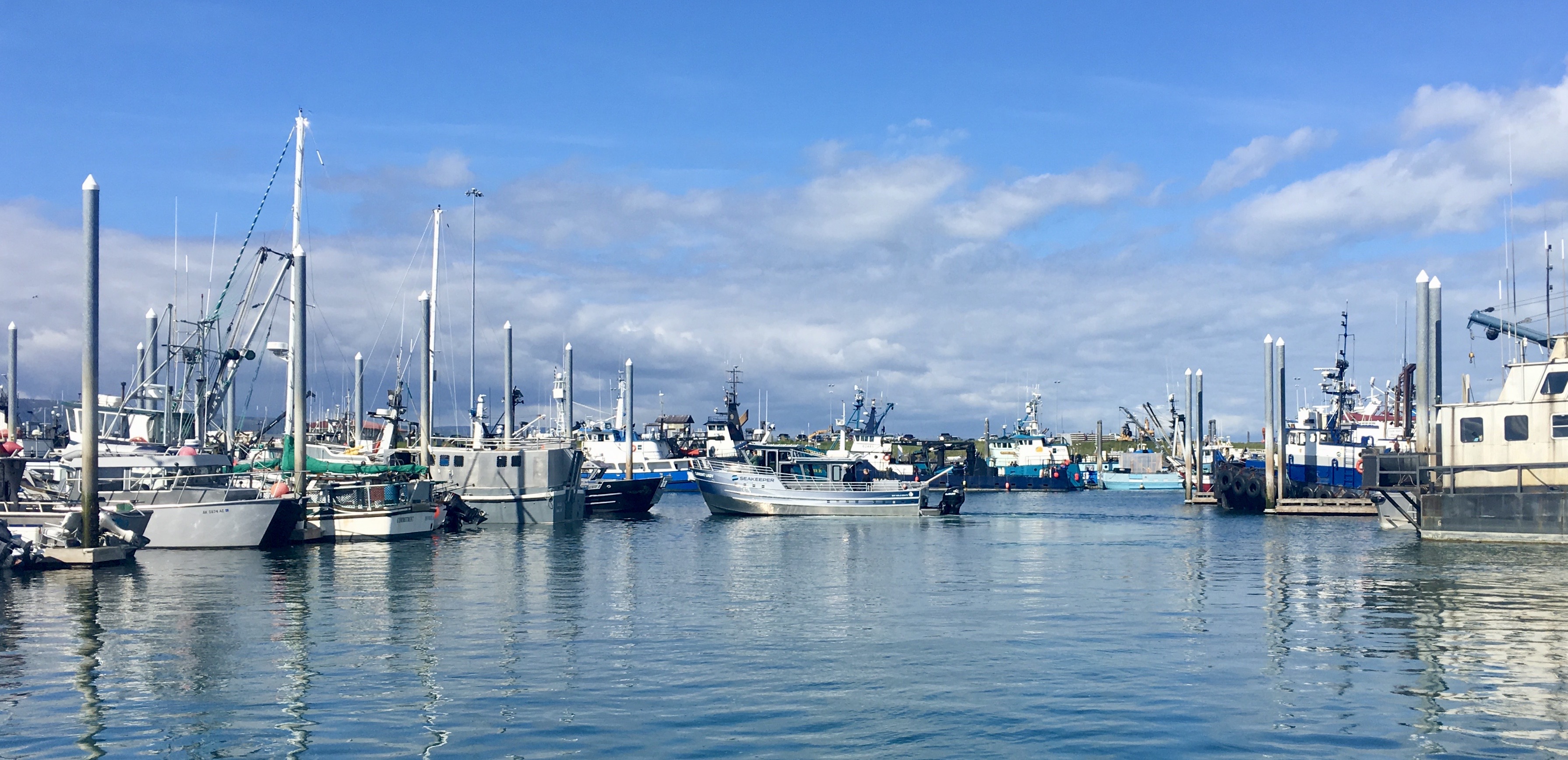 Dakota Ocean Charters