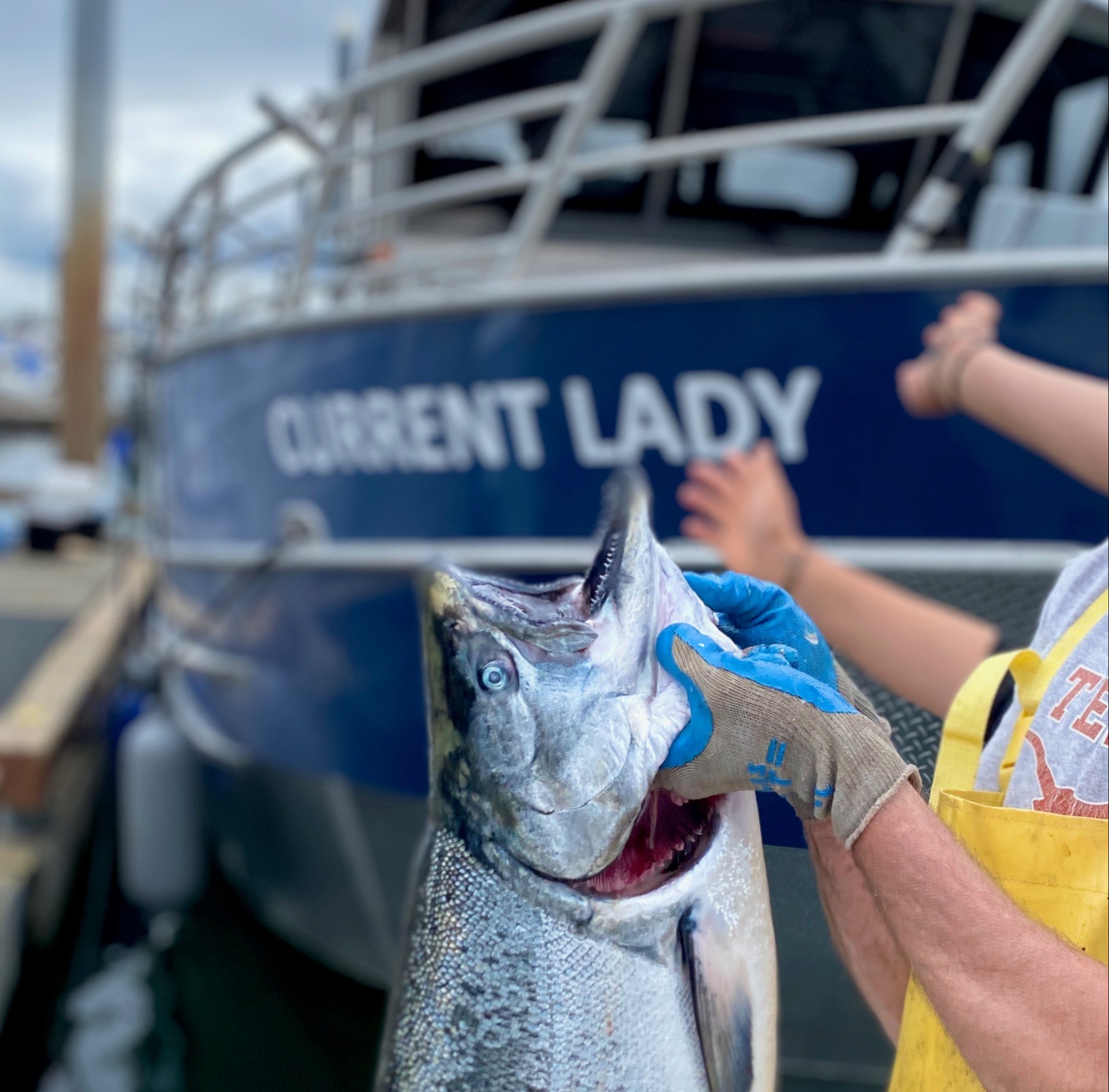 Dakota Ocean Charters