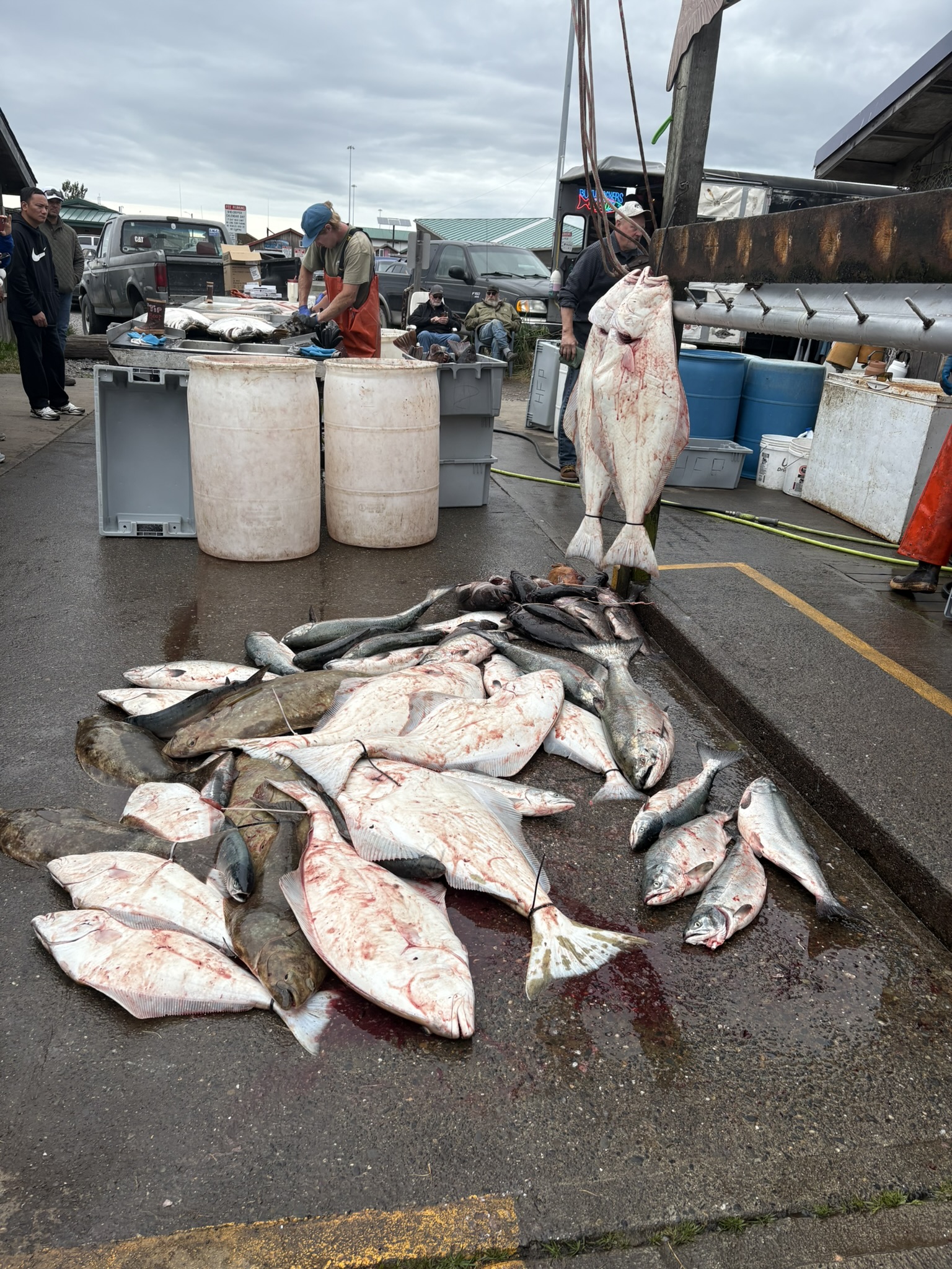 Dakota Ocean Charters