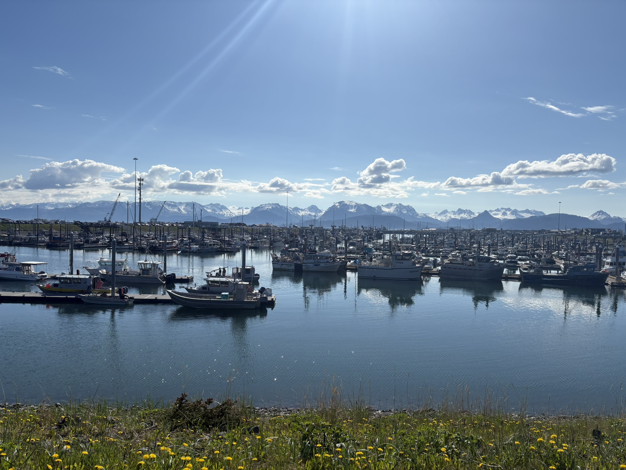 Dakota Ocean Charters