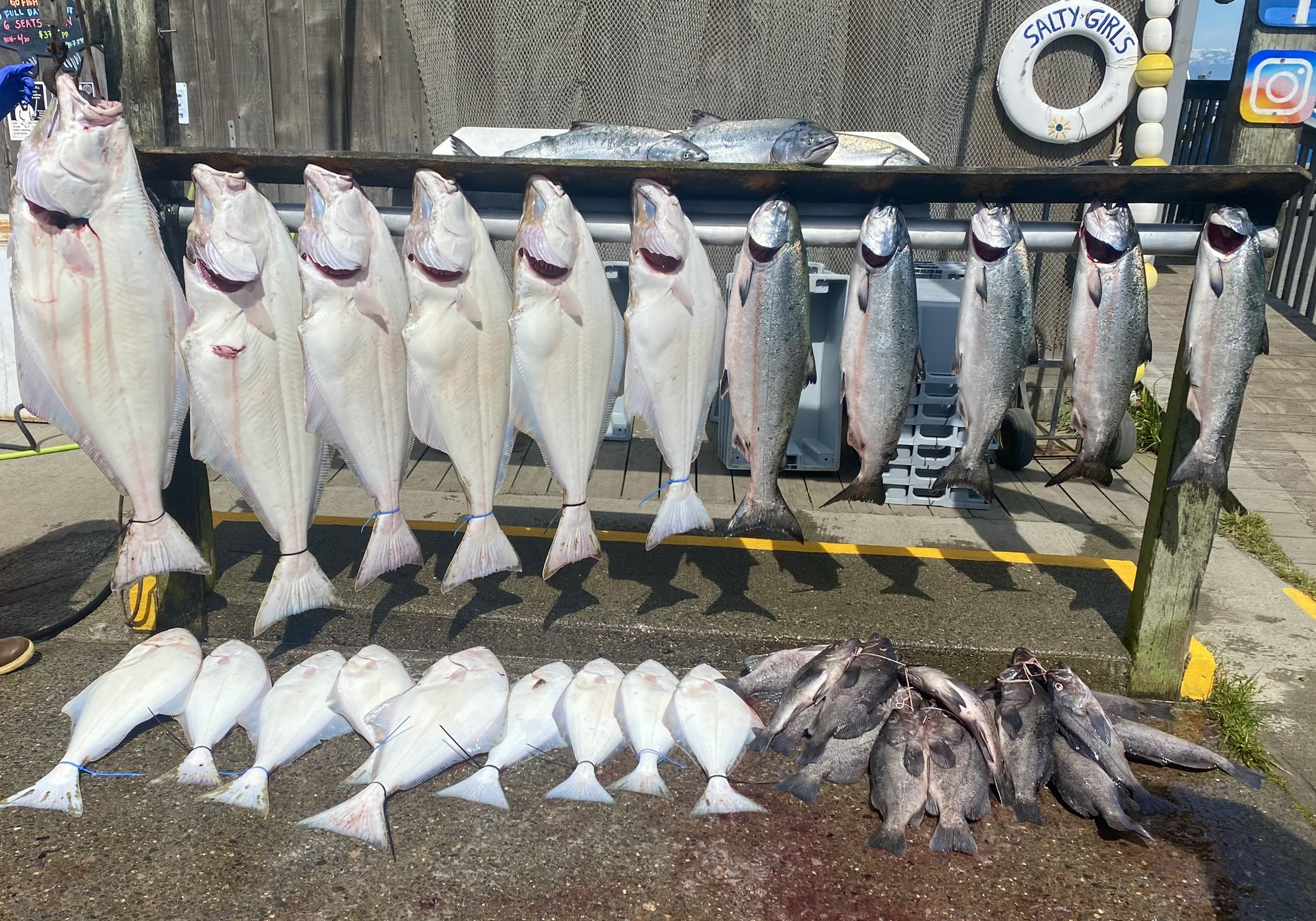 Dakota Ocean Charters