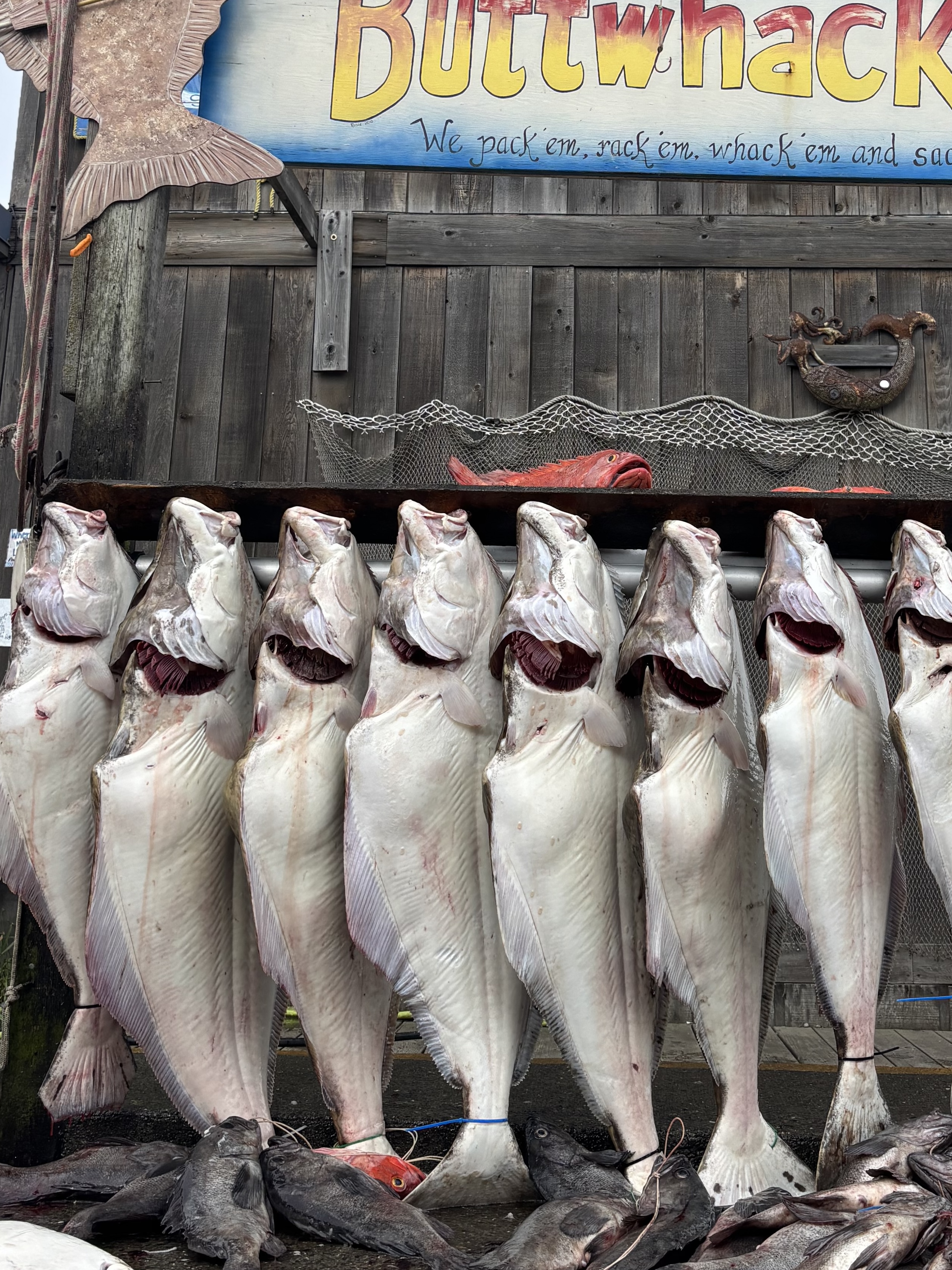 Dakota Ocean Charters