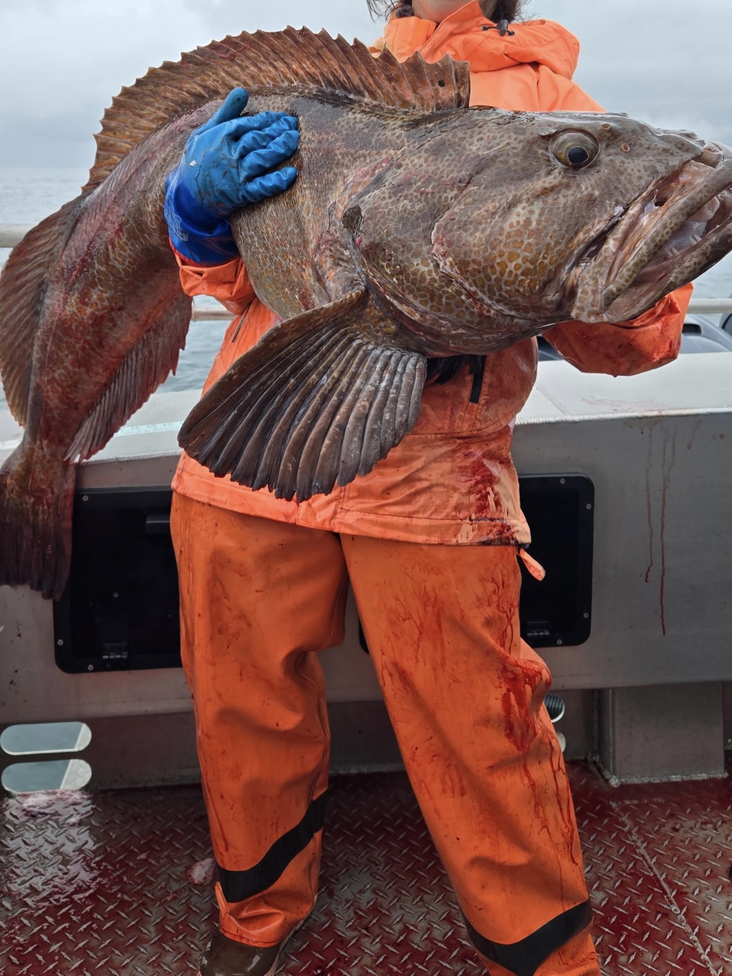 Dakota Ocean Charters